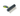 White background with a small black plastic brush with green grip handle and short metal comb teeth pictured.