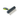 White background with a small black plastic brush with green grip handle and short metal comb teeth pictured.