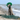 Beach scene with the ocean visible in the background, a Weimaraner in the foreground wearing a green Elizabethan style recovery collar with a green fishing net at its feet.