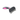 White background with a small black plastic brush with pink grip handle and a metal comb teeth pictured.