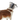 White background with a back view of a brown and white collie type dog wearing a transparent plastic Elizabethan style recovery collar attached to a black collar.