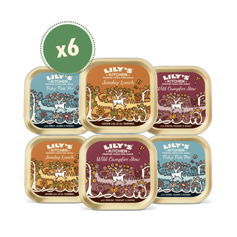 Six trays of Lily's Kitchen dog food arranged in a 2x3 grid on a white background, with a green circular badge in the top left reading 'x6'. The trays feature colourful illustrated labels for Wild Campfire Stew, Fishy Fish Pie, Sunday Lunch, and Wild Campfire Stew variants.