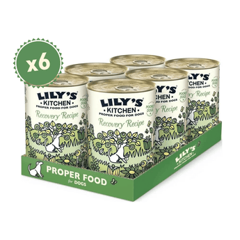 A 6-pack display tray of Lily's Kitchen Recovery Recipe meat canned dog food, featuring light green labels with a whimsical dog and flower illustration, set against a plain white background with a green 'x6' badge.