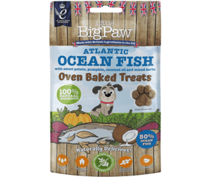 White background with a packet of Little BigPaw 'Atlantic Ocean Fish with sweet potato, pumpkin, coconut oil and mixed herbs' dog treats. Pictured on the packet is an illustration of a grey dog with a fish, a pumpkin, sweet potatoes and a coconut in the foreground. Text on the bag says 'Oven Baked Treats, 100% natural ingredients, Naturally delicious! 50% ocean fish'.