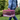 Black cat lying inside a pink mesh MDC cat carrier with a white tray inside and fleece blanket being carried by a person dressed in blue.