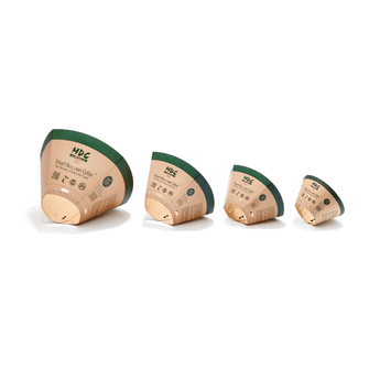White background with a row of four Elizabethan style cardboard recovery collars.