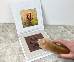 A white keepsake photo frame box is open on a stone countertop, showing a printed photo of a golden retriever in the lid and a paw print embedded in the base. A human hand and the dog's paw are visible pressing into the paw print.