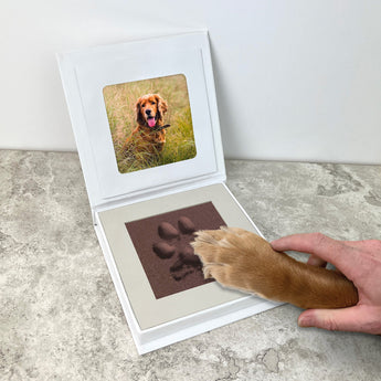 A white keepsake photo frame box is open on a stone countertop, showing a printed photo of a golden retriever in the lid and a paw print embedded in the base. A human hand and the dog's paw are visible pressing into the paw print.