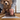 Person measuring a dog's paw on a digital scale with a white background