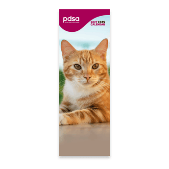 A vertical monthly calendar page featuring a photograph of an orange tabby cat at the top and a lined daily log labeled January with pink numbers and a small pdsa logo at the bottom.