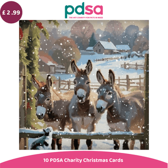 PDSA Charity Christmas Cards product image featuring a festive illustration of three donkeys in a snowy winter landscape, with a purple price badge showing £2.99 and a pink banner at the bottom reading '10 PDSA Charity Christmas Cards'.