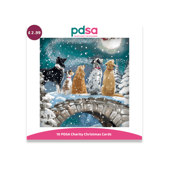 PDSA 10 PDSA Charity Christmas Cards set featuring a central illustrated card of five dogs on a snowy bridge under falling snow, with a pink PDSA logo and a purple price badge showing £2.99.