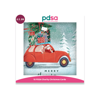 A PDSA Charity Christmas card set featuring a central illustrated card with a red car carrying a Christmas tree, a Santa Claus driving, and a snowy winter scene. The card is shown on a white background with a pink PDSA logo at the top and a pink banner at the bottom reading '10 PDSA Charity Christmas Cards'.