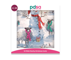 A PDSA Charity Christmas Cards product card showing a winter illustration with a snowman, sheep, and colorful scarves, plus a purple price badge reading £2.99 and a pink banner at the bottom that says '10 PDSA Charity Christmas Cards'.