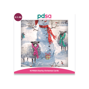 A PDSA Charity Christmas Cards product card showing a winter illustration with a snowman, sheep, and colorful scarves, plus a purple price badge reading £2.99 and a pink banner at the bottom that says '10 PDSA Charity Christmas Cards'.