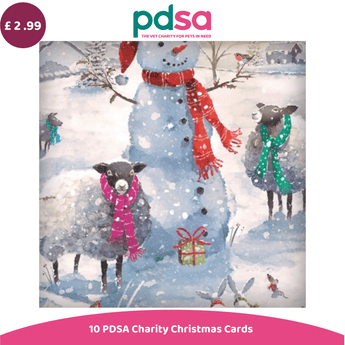 PDSA Charity Christmas Cards set featuring a festive watercolor illustration of a snowman and sheep in a snowy winter scene, with a purple price badge showing £2.99 and a pink banner at the bottom reading '10 PDSA Charity Christmas Cards'.