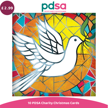 Charity card listing for 10 PDSA Charity Christmas Cards, featuring a colorful stained-glass style illustration of a white dove holding a green olive branch against a yellow and orange mosaic background. A purple price badge showing £2.