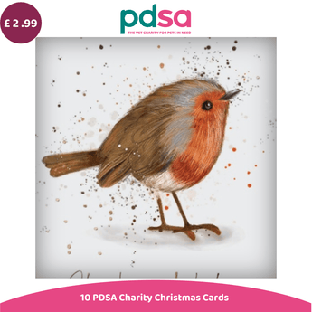 A PDSA charity Christmas card featuring a painted robin bird on a white background, with PDSA branding at the top and text at the bottom reading '10 PDSA Charity Christmas Cards'.