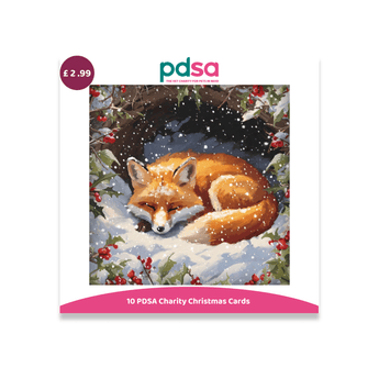 PDSA Charity Christmas Cards set featuring a painted illustration of a sleeping fox in the snow, with a purple price sticker showing £2.99 and the PDSA logo at the top.