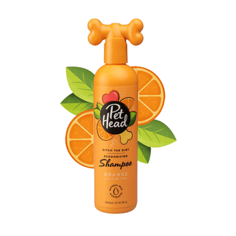 White background with a orange bottle of Pet Head Ditch the Dirt shampoo for Dogs. On the bottle is illustrated oranges, leaves and a dog bone with text 'Ditch the Dirt, Deodorising Shampoo, Orange with Aloe Vera'.