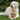 Golden retriever dog lying with brown chicken dog toy with orange beak and fee, red comb and wattle between it's paws while sat on grass.