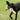 Black lurcher type dog with sausage dog style dog toy with a long body made from cord effect fabric with floppy ears and a round black fleece nose in it's mouth, stood on grass.