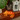 Brown tabby cat on a terracotta tiled step with an orange plush Chameleon cat toy with red stripe and eye and smile stitch details next to a white lantern in a beach hut style.