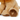 Luis lion foot with PF logo