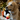 Golden Retriever dog with Plush Puffin dog toy with a red, orange and yellow beak and orange feet in it's mouth.
