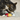 Brown tabby cat with white nose and paws playing with yellow and red Piranha cat toy with white felt teeth on carpet.