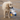 Golden Retriever dog with seagull dog toy with a white body, grey and blue wings and tail and orange beak in it's mouth standing on a beach.