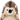 Close up of front facing hedgehog dog toy with a cream belly, face, legs and ears and brown spikey effect soft fabric for spines. Sat on a white background.