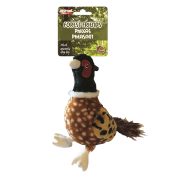 Small Pheasant dog toy with green and red head, animal print belly and wings and tail attached to a green cardboard backing with white text 'Forest Friends Phileas Pheasant' and smaller text saying 'Plush squeaky dog toy' pictured on a white background.