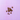A small pile of brown paw-shaped pet treats scattered on a lavender purple tiled background.
