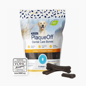 White background with a packet of ProDen PlaqueOff Dental Care Bones - Chicken & Pumpkin flavour for Medium and Large Dogs. Pictured on the packet is a Labrador dog.