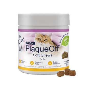 White background with a tub of ProDen PlaqueOff Soft Chews for Cats.