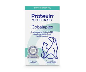 White background with a box of Protexin Cobalaplex capsules pictured. On the box is an outline of a cat and dog. Text on the box reads 'Oral cobalamin (Vitamin B12) supplementation & gut health support. For cats and dogs, Chicken flavour'.