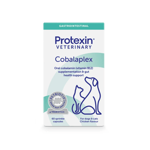 White background with a box of Protexin Cobalaplex capsules pictured. On the box is an outline of a cat and dog. Text on the box reads 'Oral cobalamin (Vitamin B12) supplementation & gut health support. For cats and dogs, Chicken flavour'.