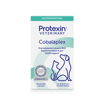 White background with a box of Protexin Cobalaplex capsules pictured. On the box is an outline of a cat and dog. Text on the box reads 'Oral cobalamin (Vitamin B12) supplementation & gut health support. For cats and dogs, Chicken flavour'.