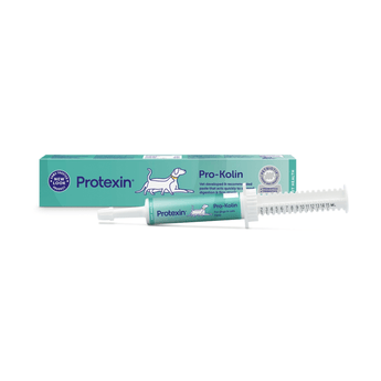 White background with a box and syringe of Protexin Pro-Kolin 15ml picutred. On the box and syringe is an illustrated outline of a cat and dog. Text on the box reads 'Vet developed & recommended paste that acts quickly to support digestion & firm stools.'