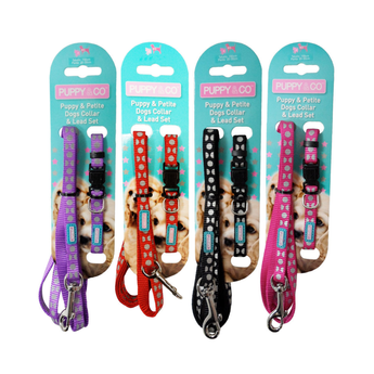White background with four collar and lead sets backed on turquoise cardboard with text 'Puppy & Co, Puppy & Petite Dogs Collar & Lead Set' The sets are in purple, red, black and pink.
