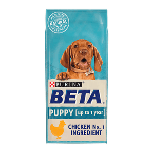 White background with a blue bag of Purina Beta Puppy Food. Pictured on the bag is a Vizsla puppy text on the bag reads 'Purina Beta, Puppy (up to 1 year) Chicken No.1 Ingredient.'