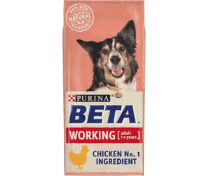 A bag of Purina Beta Working adult dog food, Chicken No. 1 Ingredient, featuring a photo of a black and white dog on a salmon-pink background with a cream lower section.