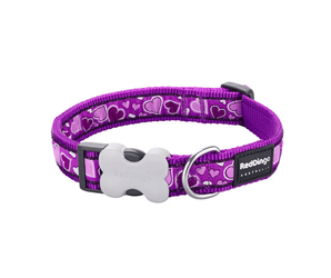 White background with a purple 'Red Dingo' dog collar with purple hearts on it.