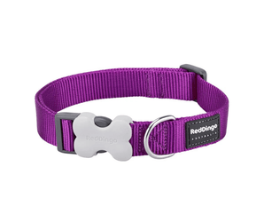 A Red Dingo Classic Purple Dog Collar on a white background