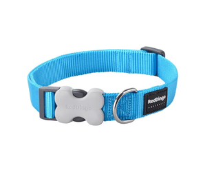 Red Dingo Classic Turquoise Dog Collar