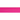 White background with a close up of a pink 'Red Dingo' dog collar.