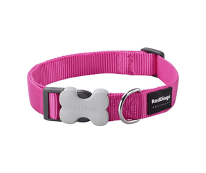 White background with a pink 'Red Dingo' dog collar.