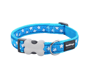 White background with a turquoise 'Red Dingo' dog collar with white stars pictured on it.