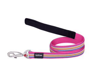 White background with a pink, blue, yellow and green stripy 'Red Dingo' dog lead.
